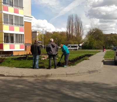 Общегородской субботник.